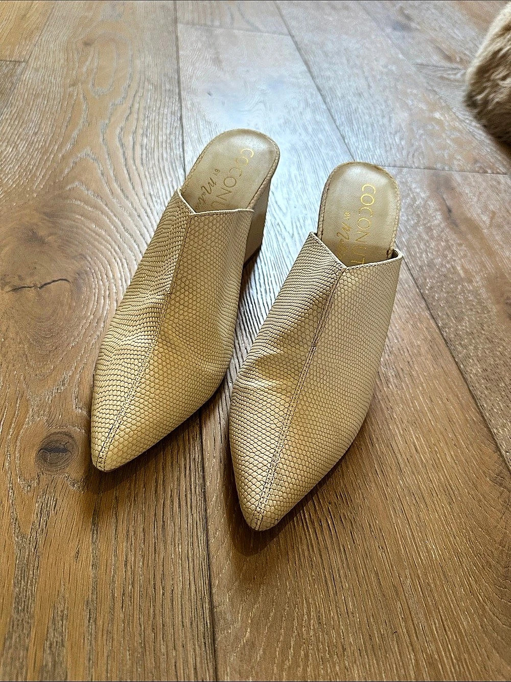 Coconuts by Matisse Pointed Toe Block Heel Mules Beige US 8